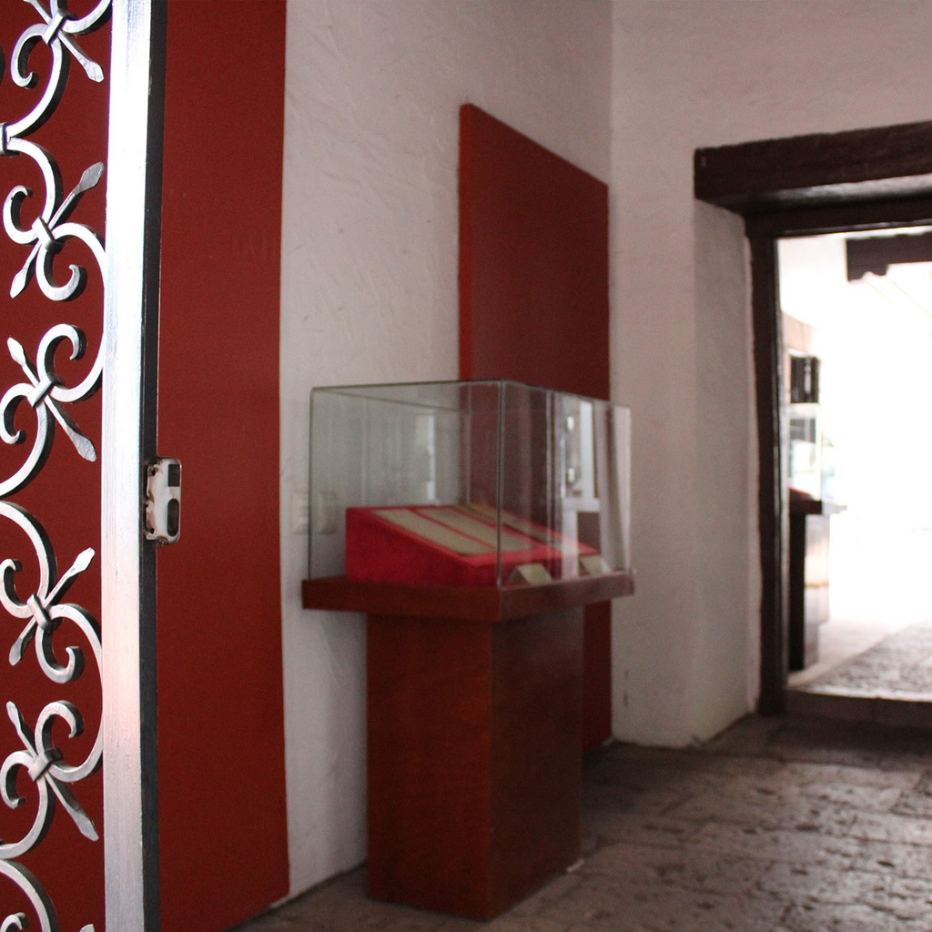 imagen1