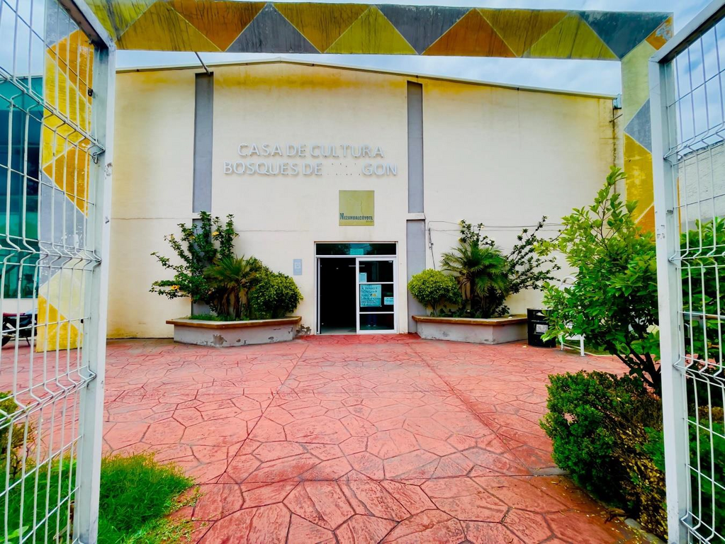 imagen1