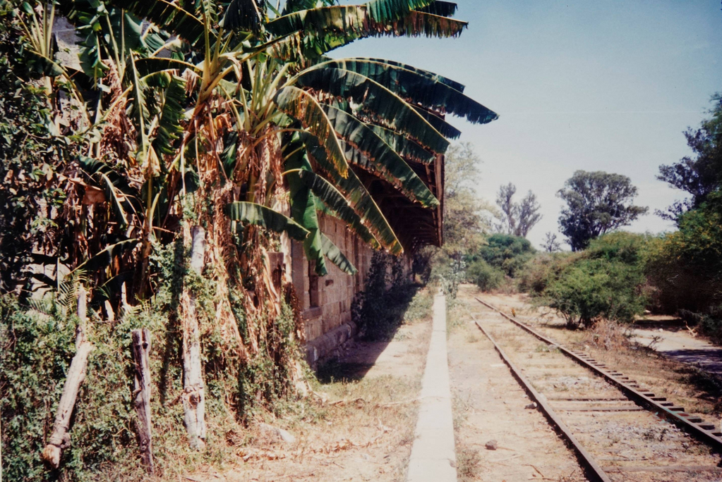 imagen0