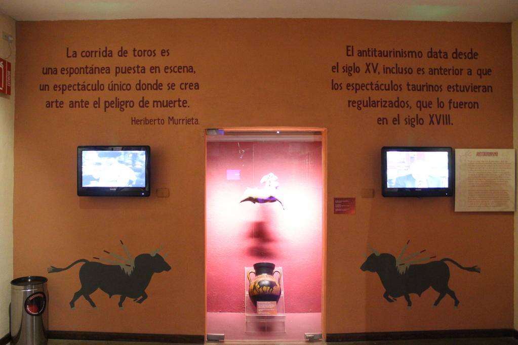 imagen3