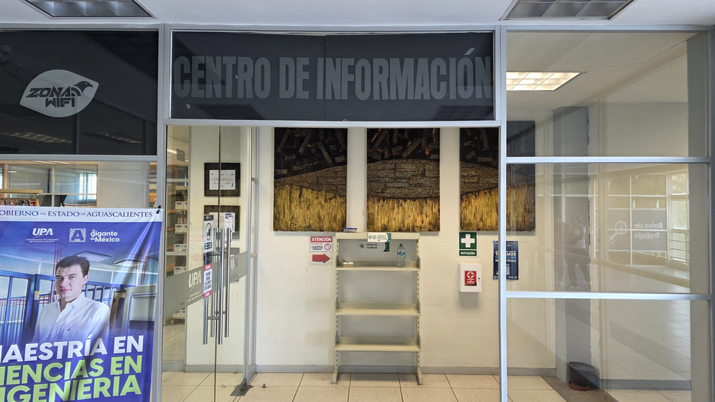 imagen1