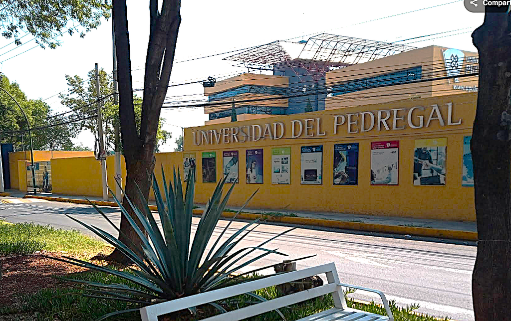 imagen2