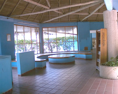 imagen1