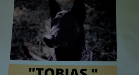 imagen2