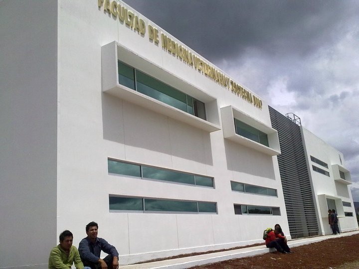 imagen1