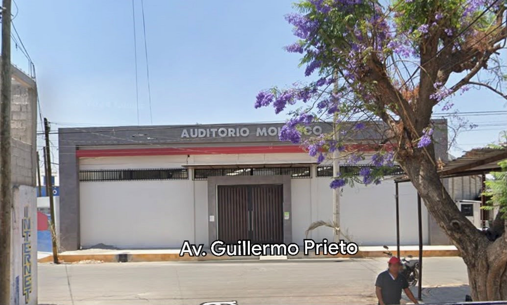 imagen1