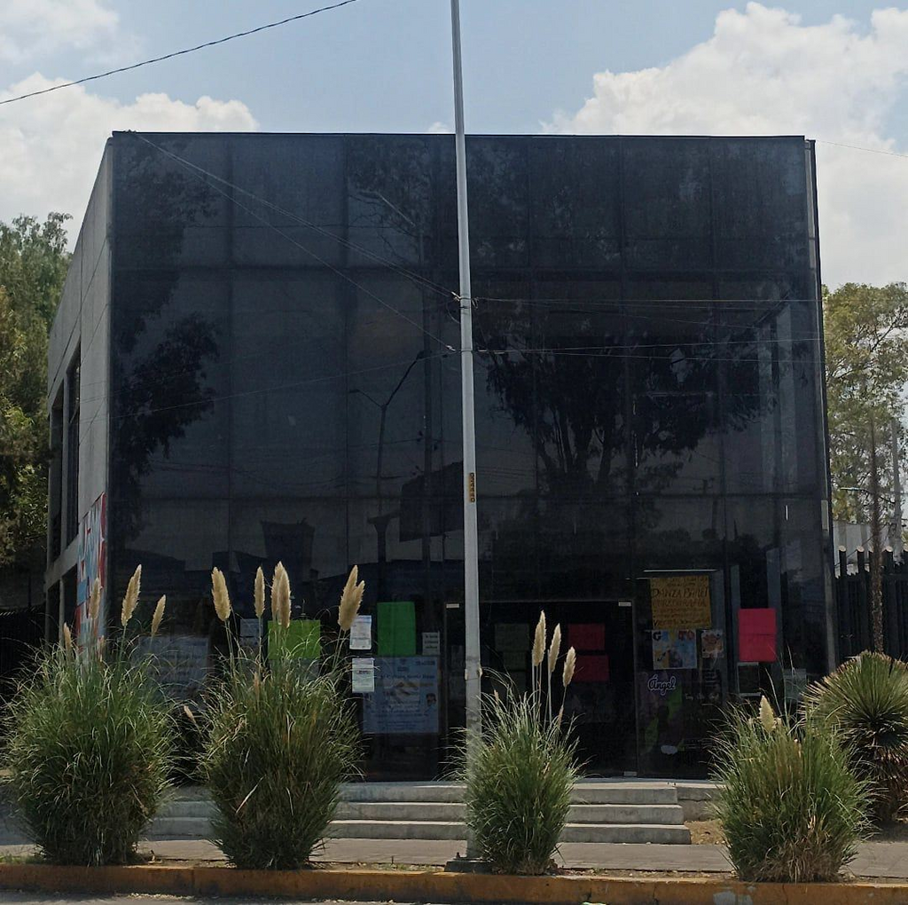 imagen1