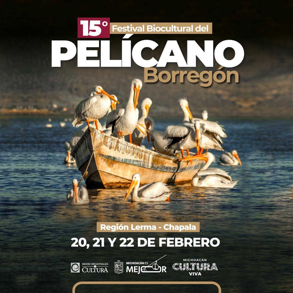 imagen1
