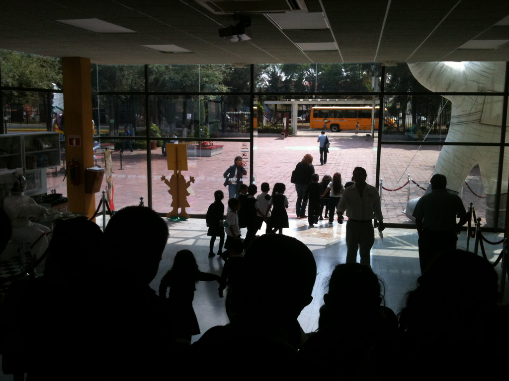 imagen1