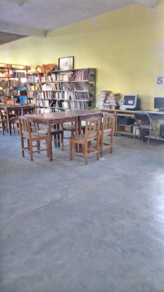 imagen3