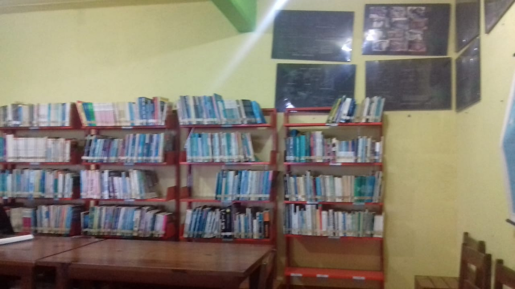 imagen1