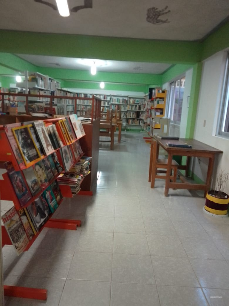 imagen3