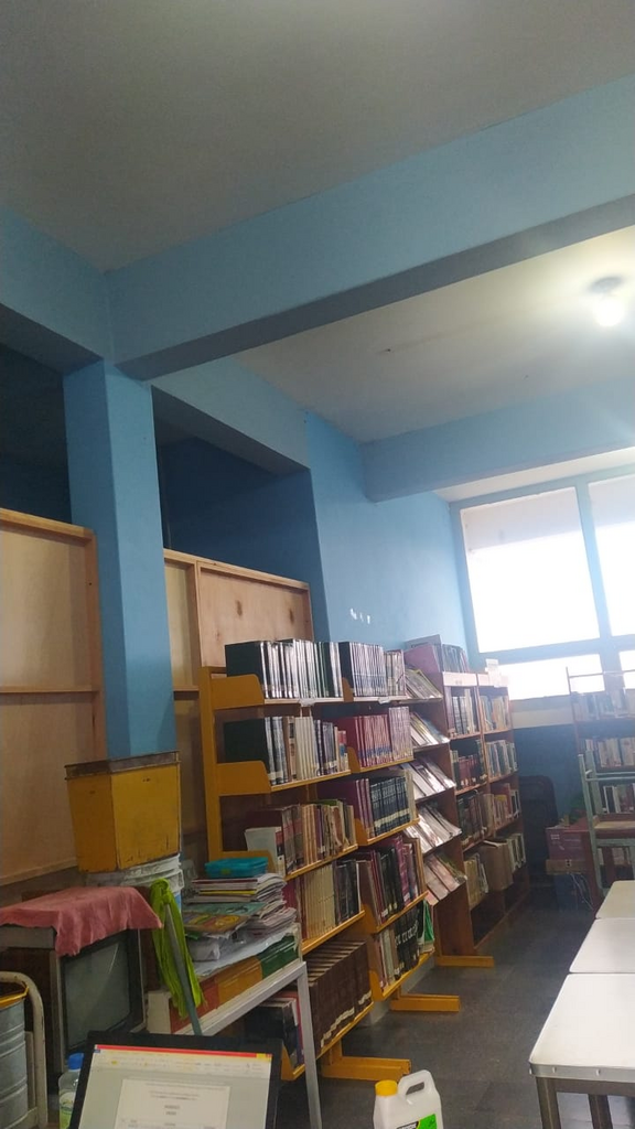 imagen3