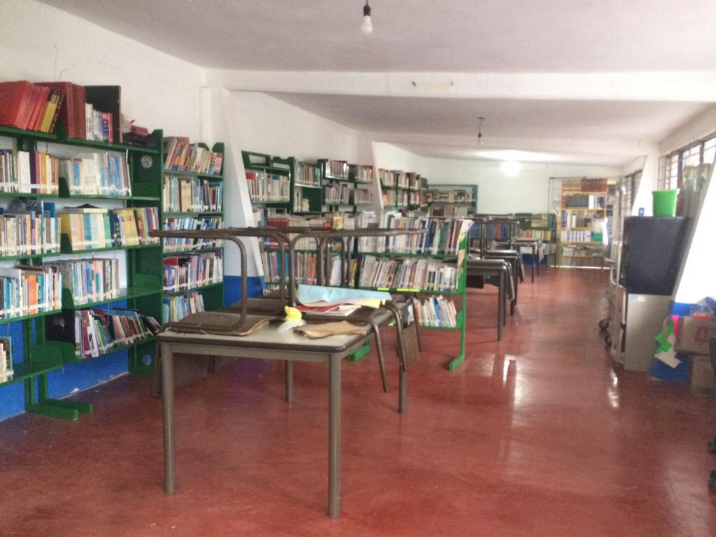 imagen3
