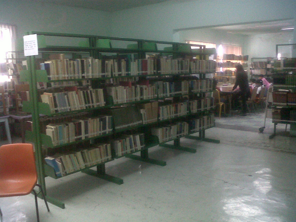 imagen1