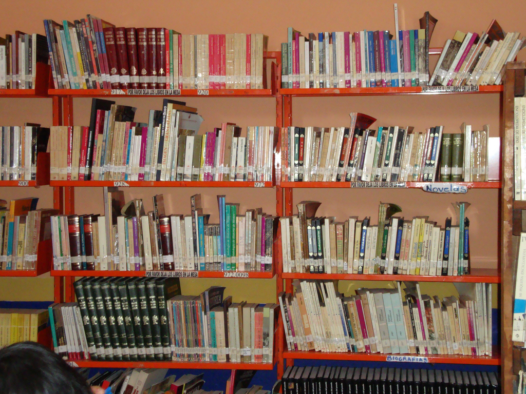 imagen3