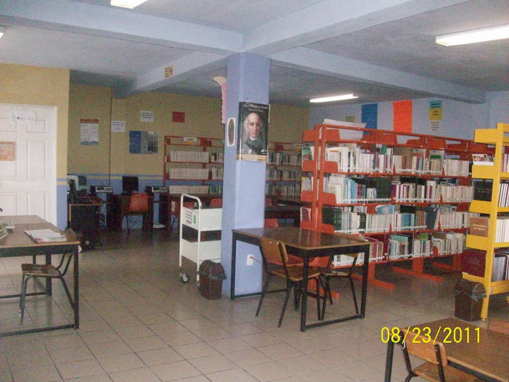 imagen3