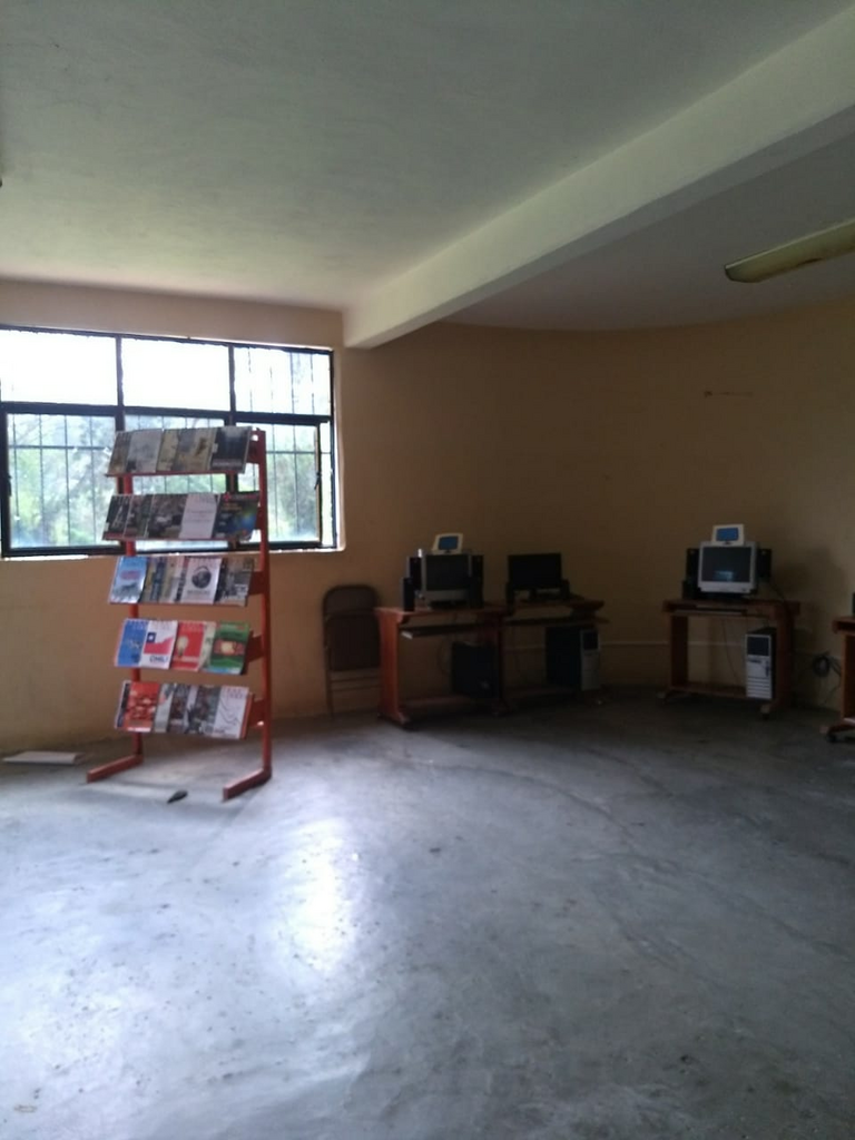 imagen3