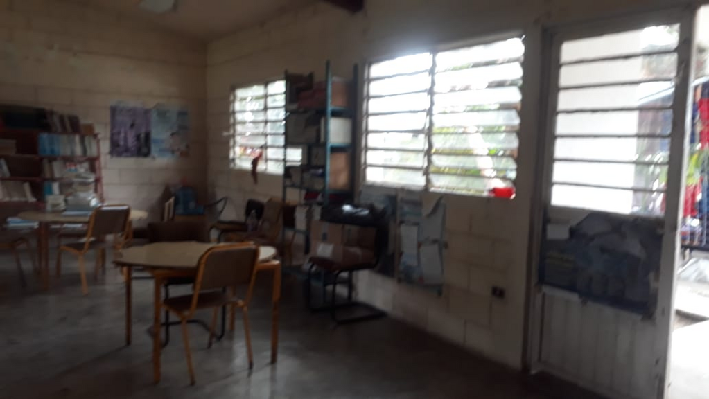 imagen2