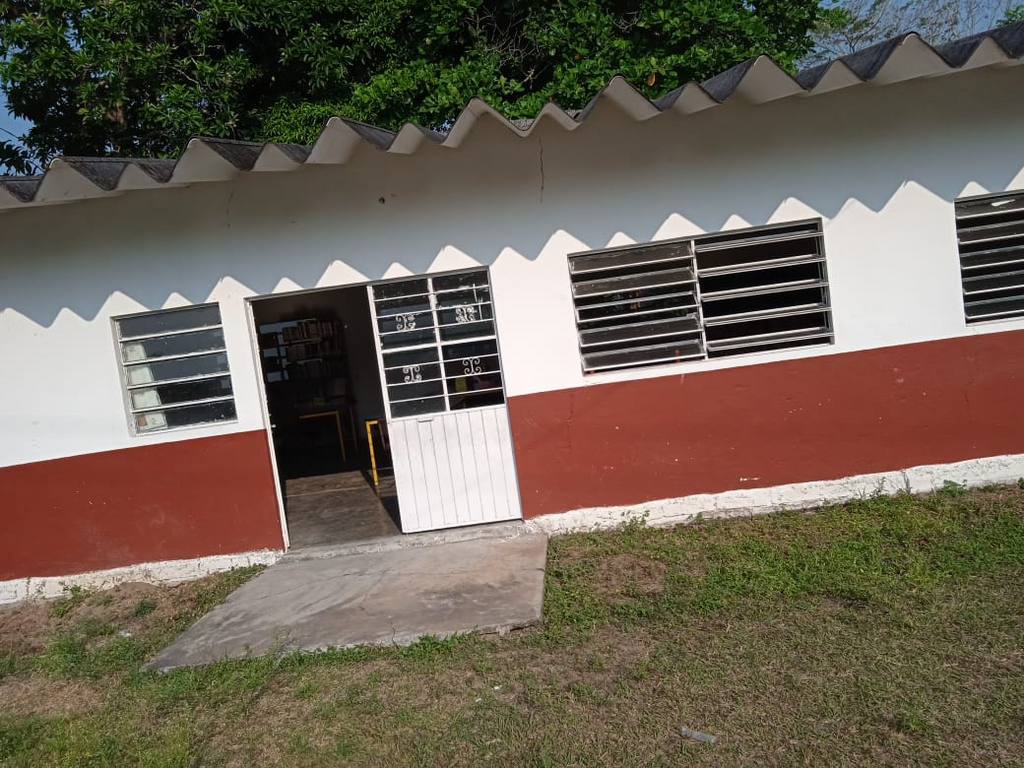 imagen1