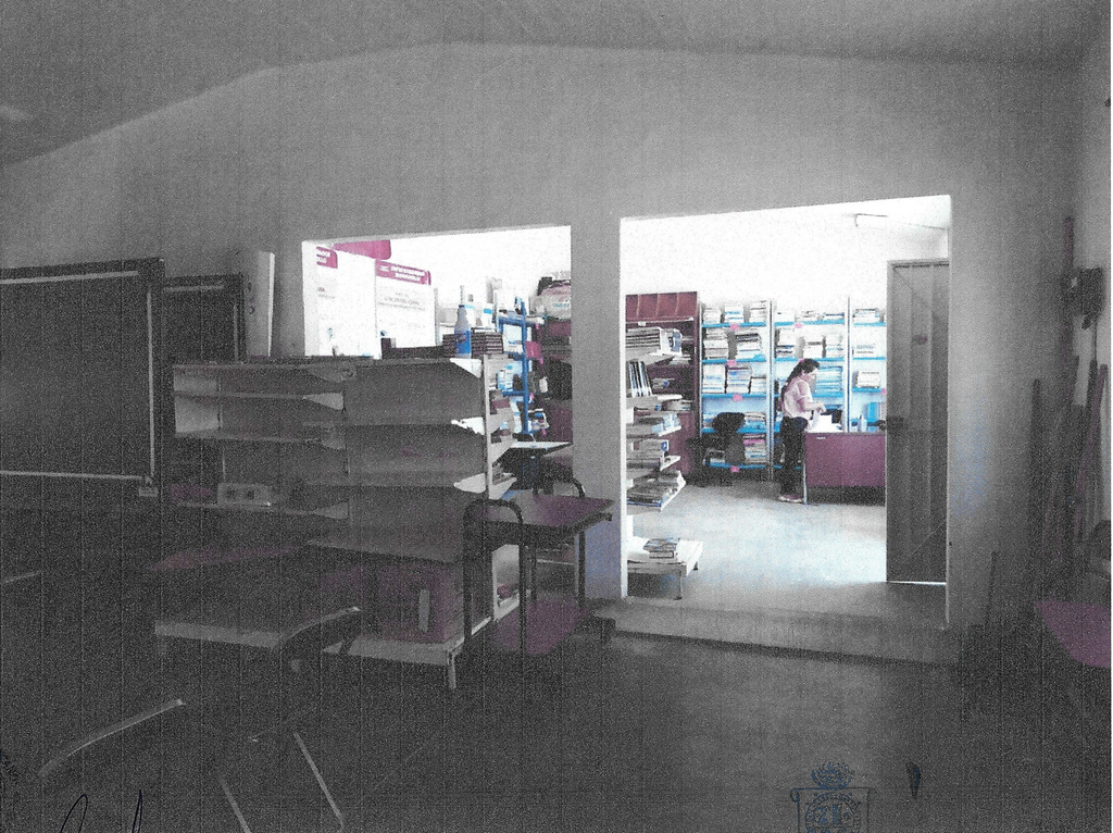 imagen1