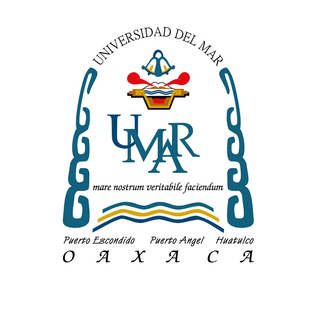 imagen1