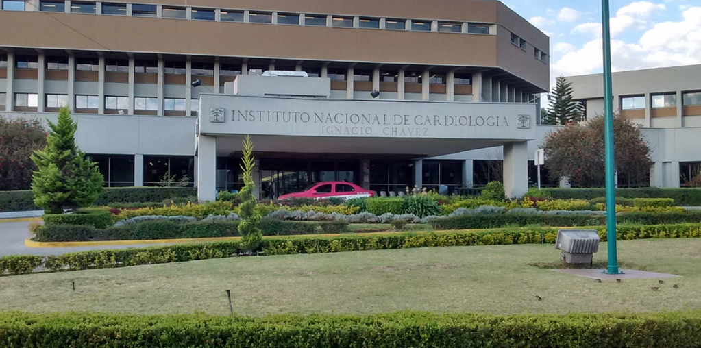 imagen1