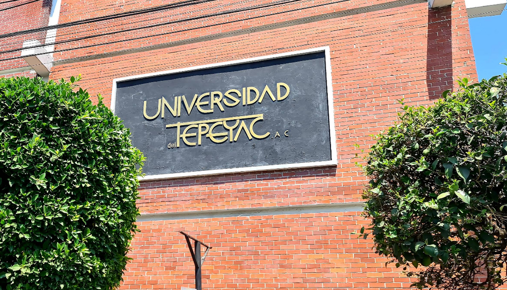 imagen1
