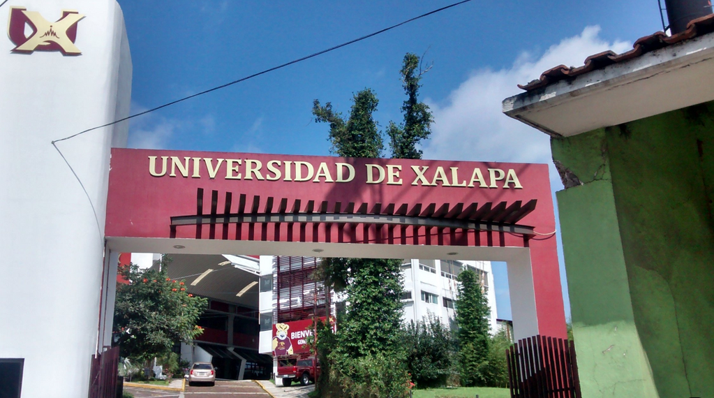 imagen0