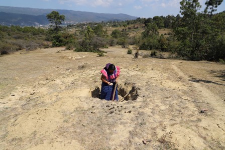 imagen2
