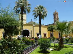 imagen3