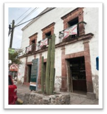 imagen0